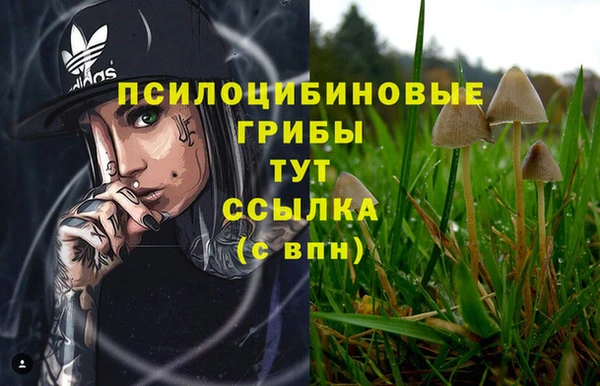 гашиш Володарск